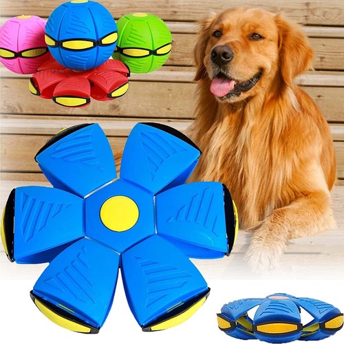 Children bouncing ball - children's,