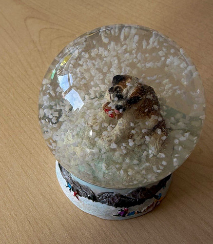 Dog snow globe - snow, with