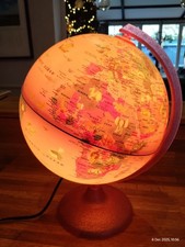 Illuminated Animals Children's